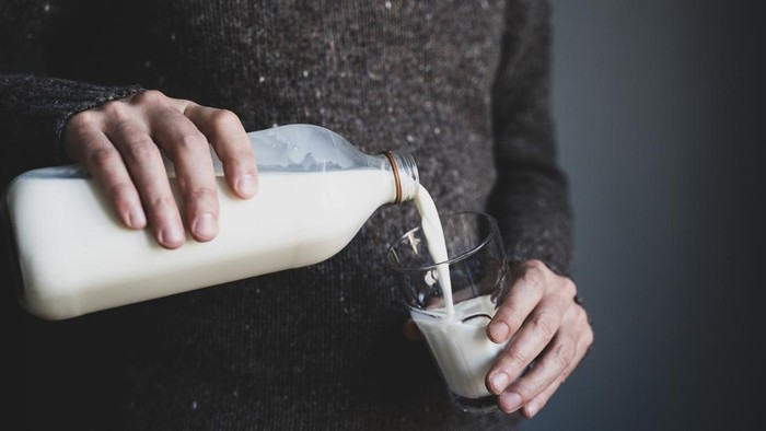 Ilustrasi ibu hamil sedang minum susu