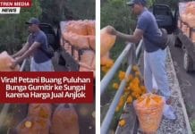 VIRAL! Warga Buang Puluhan Bunga Gumitir ke Sungai karena Harga Jual Anjlok