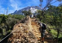 Menjelajah Jalur Hiking Terbaik di Malaysia: Destinasi Alam Spektakuler yang Wajib Dicoba
