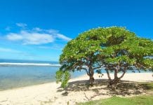 Pantai Karapyak Pangandaran: Surga Tersembunyi dengan Pesona Tenang dan Asri