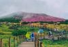 Aksi Tegas! Jeju Luncurkan Panduan Etika bagi Turis Demi Ketertiban Publik