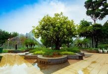 Escape Seru Tanpa Biaya: 10 Destinasi Gratis di Jakarta untuk Long Weekend