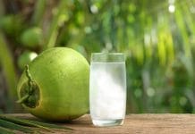 Air Kelapa Muda Disebut Baik untuk Ginjal, Ini Bukti Ilmiahnya