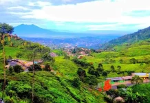 Puncak Bogor Terangkat: Raih Juara Ketiga Destinasi Pedesaan Terpopuler di Asia