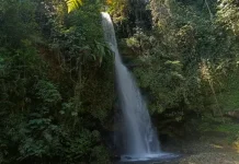 Keajaiban Coban Siuk Malang: Destinasi Alam Eksotis yang Membuat Hati Lega