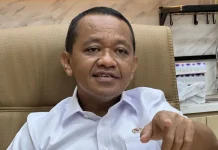 RI Siapkan Penambahan Saham Freeport Lebih dari 10 Persen, Kepemilikan Bisa Naik ke >61%