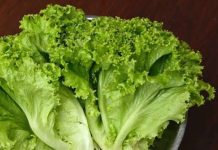 Trik Simpan Selada yang Bikin Sayuran Tetap Renyah dan Fresh