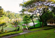 Taman Casuarina di Jagakarsa, Surga Hijau untuk Healing di Tengah Jakarta