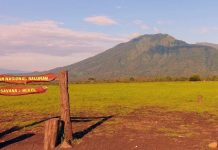 Keindahan Taman Nasional Indonesia yang Diakui UNESCO dan Dunia